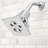 Rainier 2.5 GPM Adjustable Shower Head