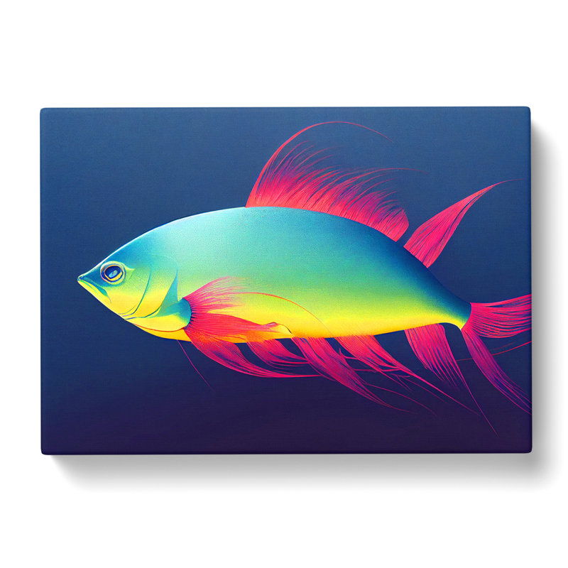 Lovely Fish - Wrapped Canvas, 50cm H x 76cm W x 3cm D