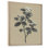 «Grey Minimalisme Vintage Solitude Plant», reproduction d'art sur toile encadrée, art mural botanique gris