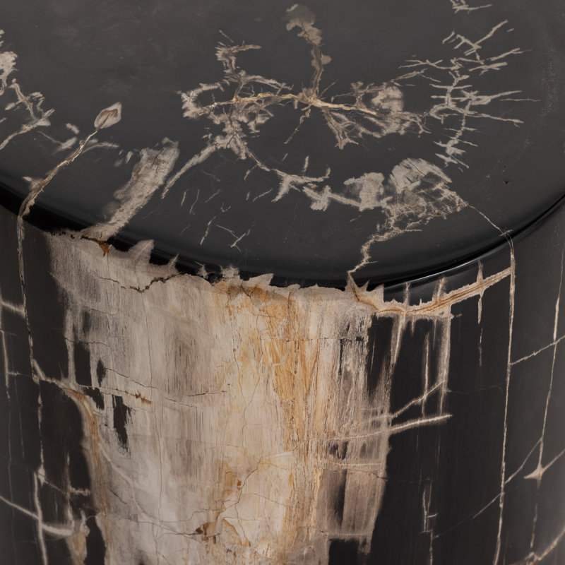Table de bout en bois massif Bakersville, Dark Petrified Wood