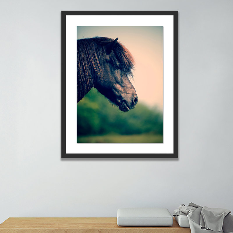 Horse Profile 5 Framed Photographic Print, 48" H x 36" W x 2.5" D, Black
