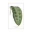 Green Trace 1 Print by Studio L57 Nouvelle