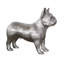 Animals French Bulldog-49609685