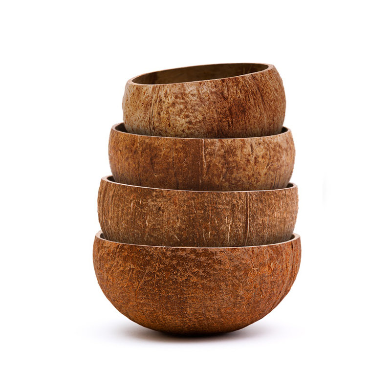 4 Piece Raw Coconut Dining Bowl Set
