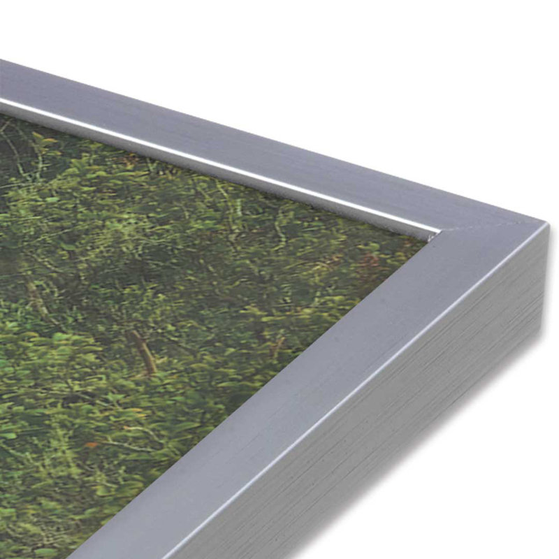 «Moss Draped Path» par Martin Podt, reproduction d'art, 12 W x 8 H, Silver, Framed Print