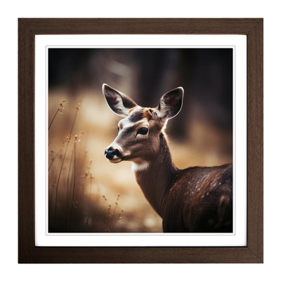Deer Photograph - Framed Print