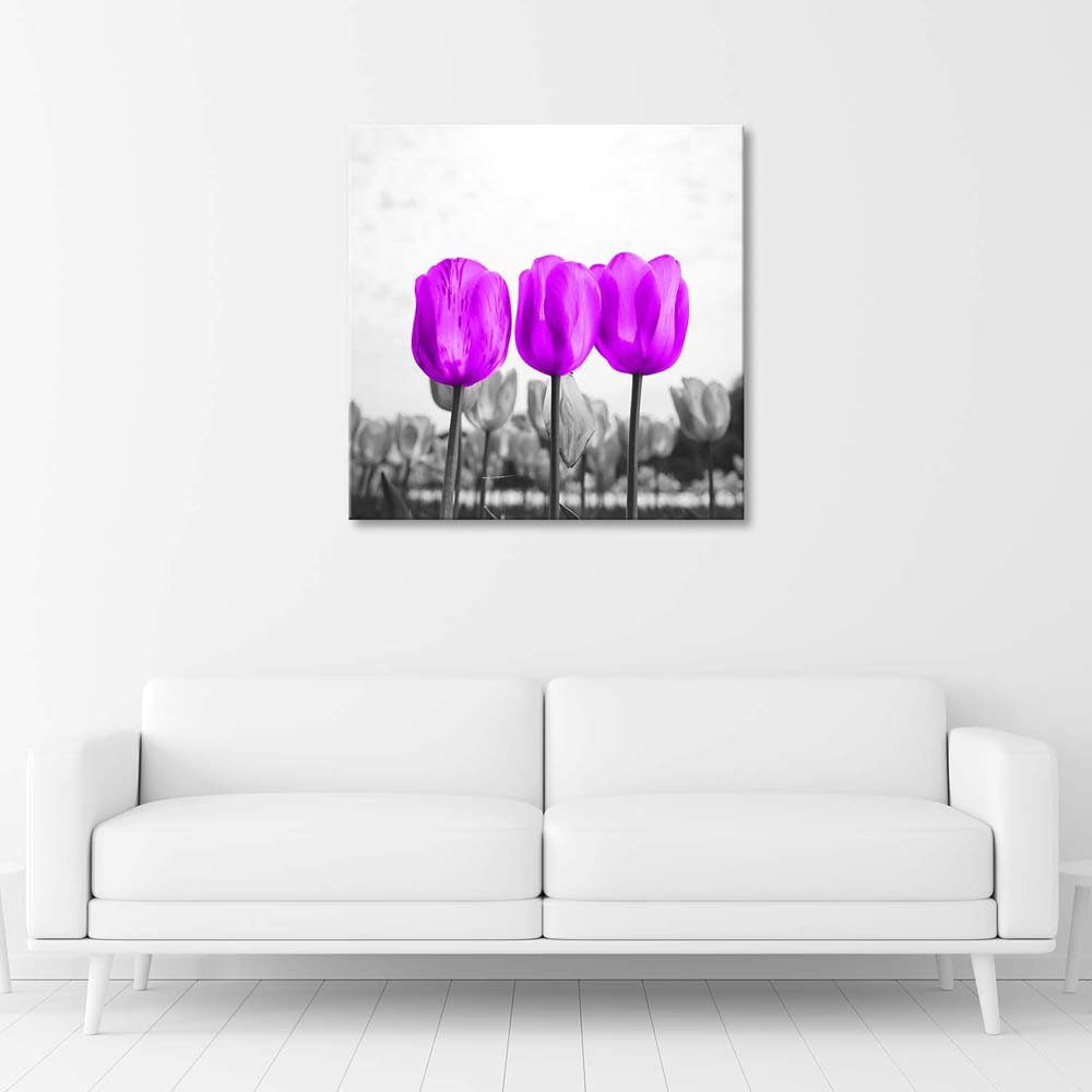 Leinwandbild Tulpen Wiese Natur Blume Lila