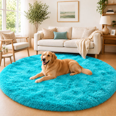 5 po x 5 pi Tapis rond bleu Tiffany pour chambre à coucher