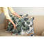 429421_Ambesonne Housse de coussin Monstera-97809820