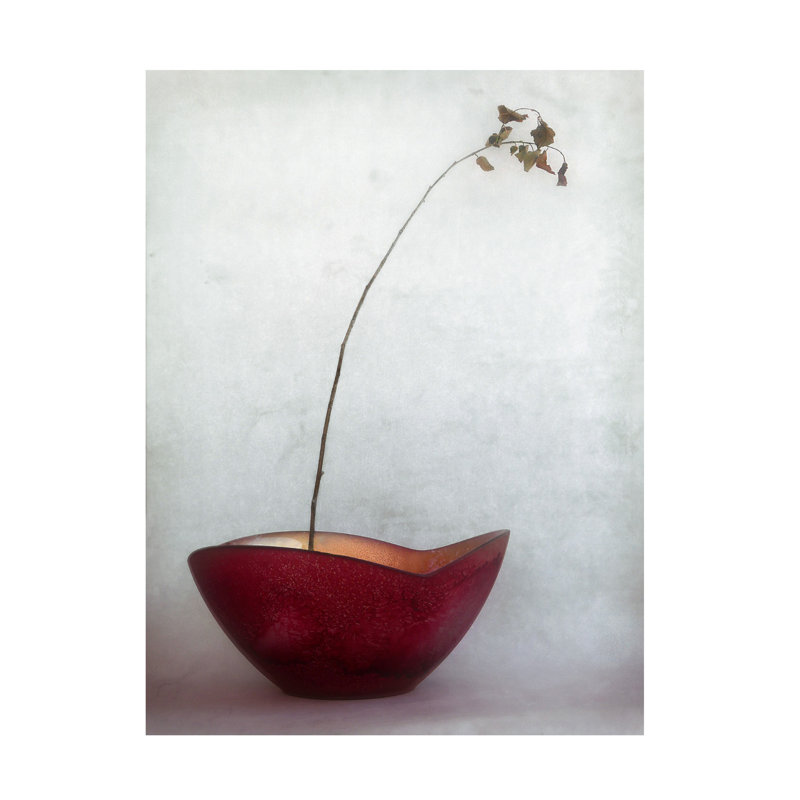 Art sur toile Jeffrey Hummel, H 14 po x l 19 po