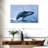 Brampt Leaping Humpback Whale-107868457