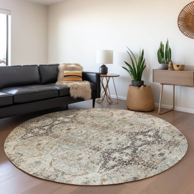 Machine Washable Indoor/Outdoor Cicel ACN1222 Rug