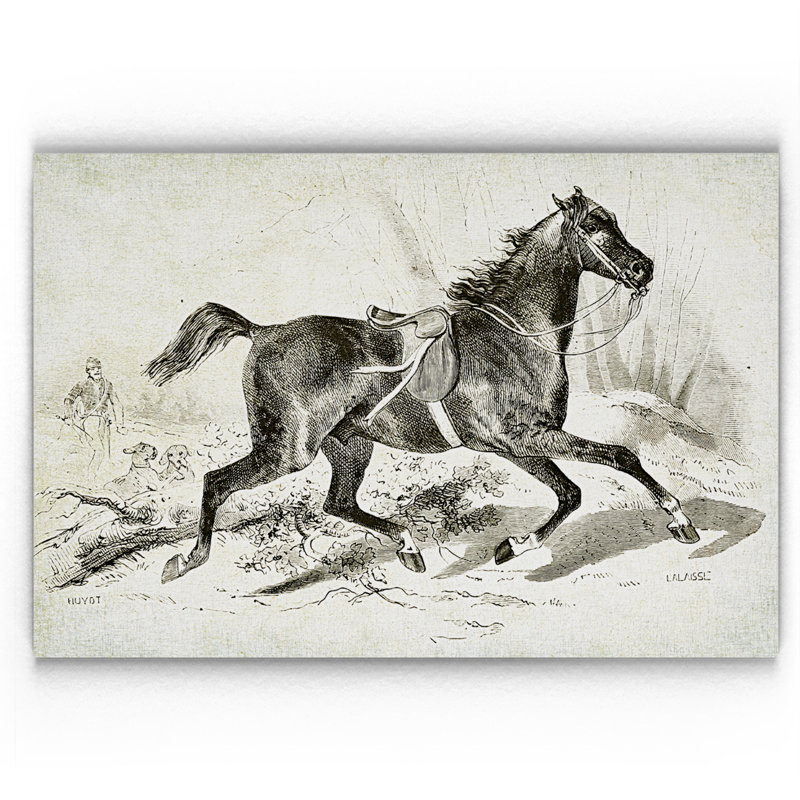 « équin sketch viii », reproduction, H 18 po x l 27 po x P 1,5 po, Pas de tapis, Toile tendue