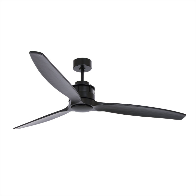 Ventilateur de plafond noir Akmani, Noir