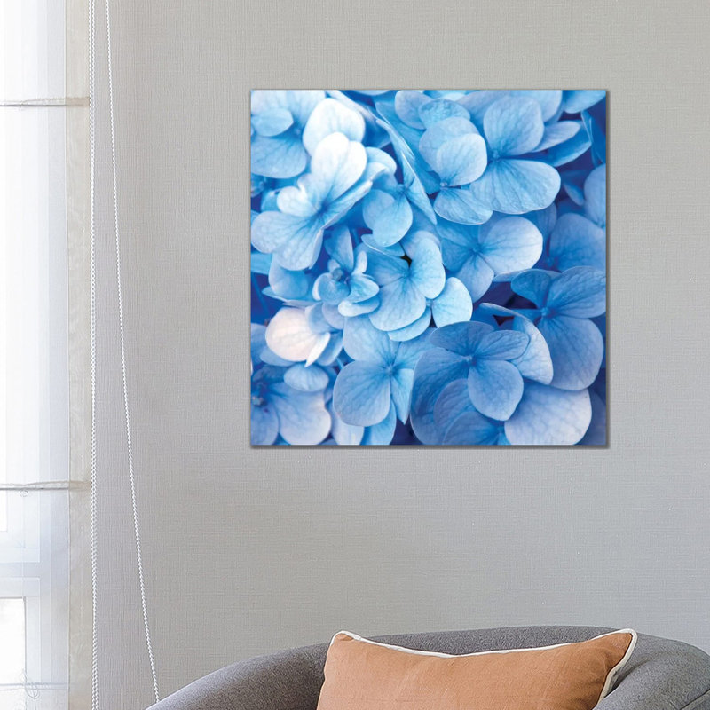 Blue Flowers - Print on Canvas, 30.48 cm H x 30.48 cm W, No Framed