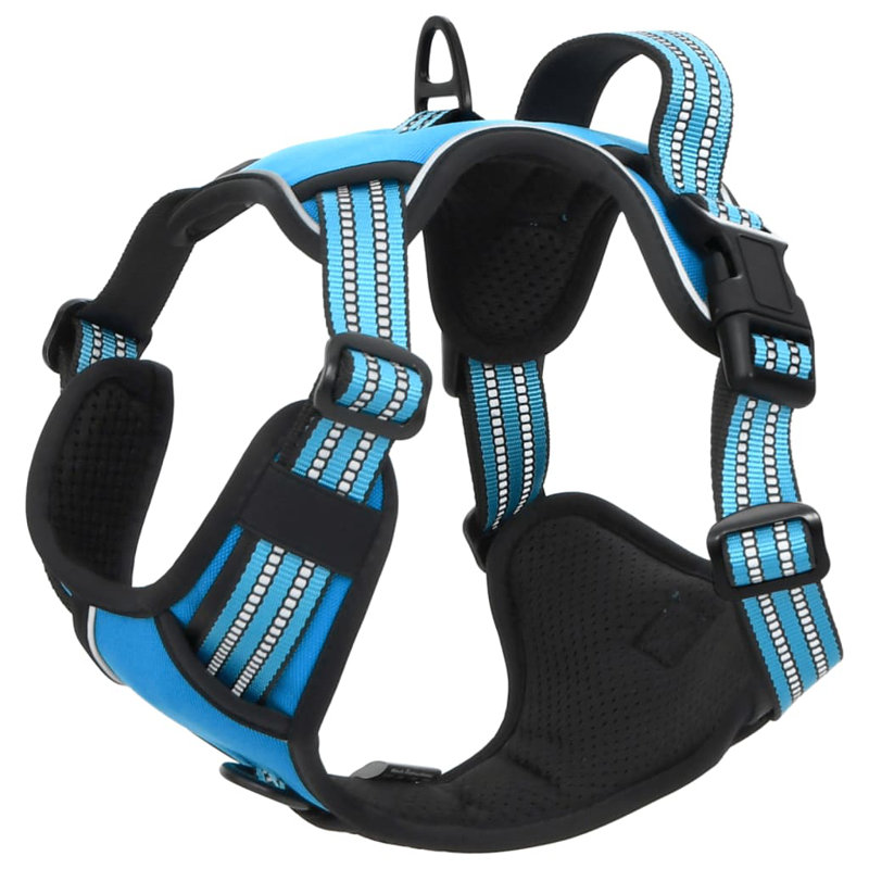 Pet Carrier, Blue