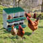 Egg Boxes & Baskets-863886161-863886163