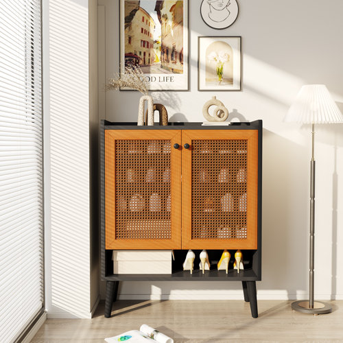 Ivy Bronx 25 Pair Shoe Storage Cabinet | Wayfair