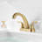 Centerset 2-handle Bathroom Faucet with Drain Assembly-54503402
