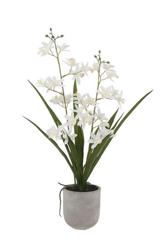20.5" Artificial White Orchid in Vanda Pot