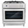 F965 Series 36 in. Stellar Collection 3.8 cu. ft. Dual Fuel Range, 5 Sealed Burners, 8 Function Convection Oven in Stainless Steel
