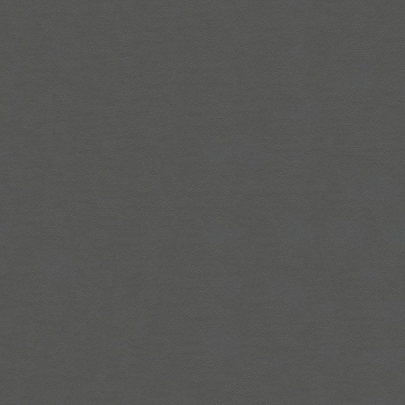 Tissu Indy, Anthracite