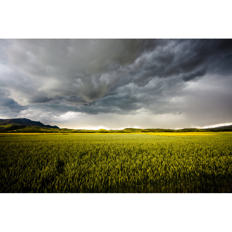 Wheat In Storm by Chinaface - Wrapped Canvas Print, 30cm H x 46cm W x 3.8cm D