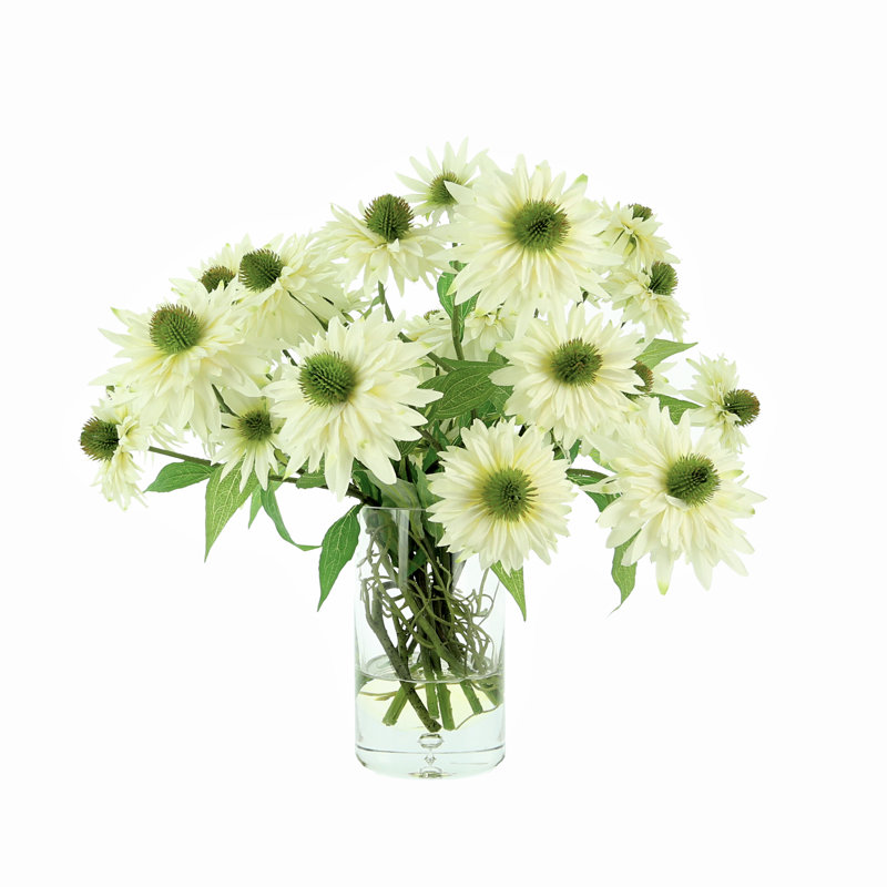 White Rudbeckia In Glass Vase