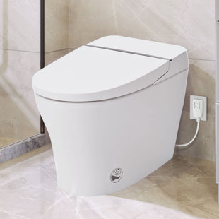 Toilette bidet combinée - double chasse, autonettoyante, lavage à l'eau froide, chasse d'eau en cas de panne de courant