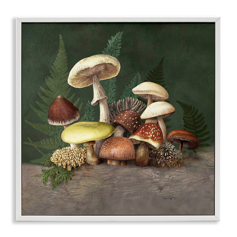 Estampe numérique champignon et fougère, design par Tim Coffey, H 12 po x l 12 po