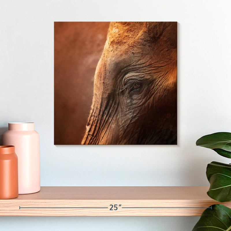 Crowle Elephant Lashes, 16" H x 16" W