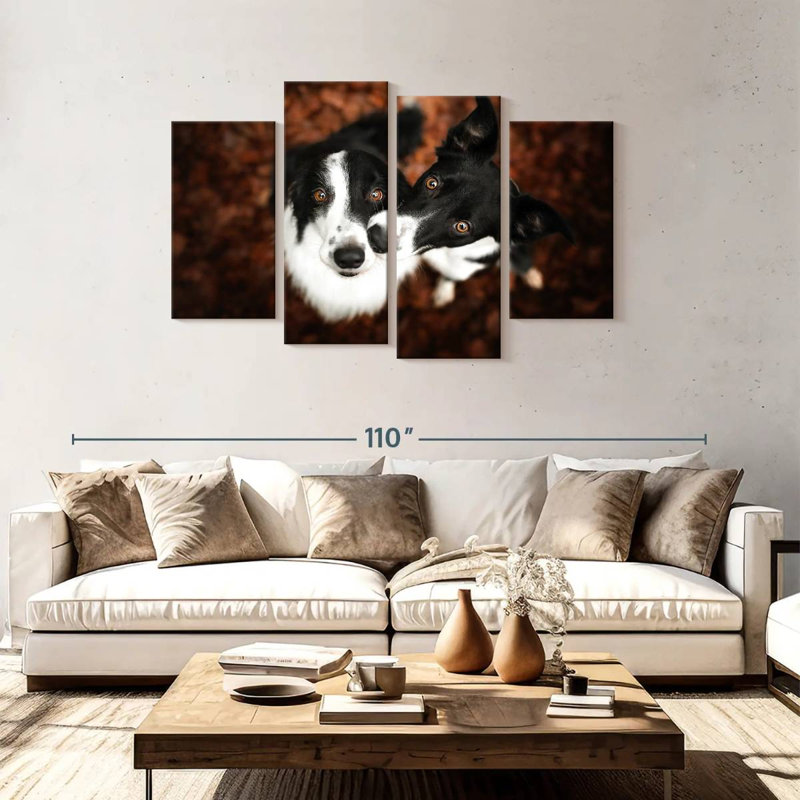 Brampt Adorable Border Collies, 48" H x 75" W