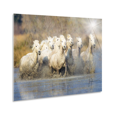 White Horses Of The Camargue by Jim Zuckerman - No Frame Painting on Plastic / Acrylic