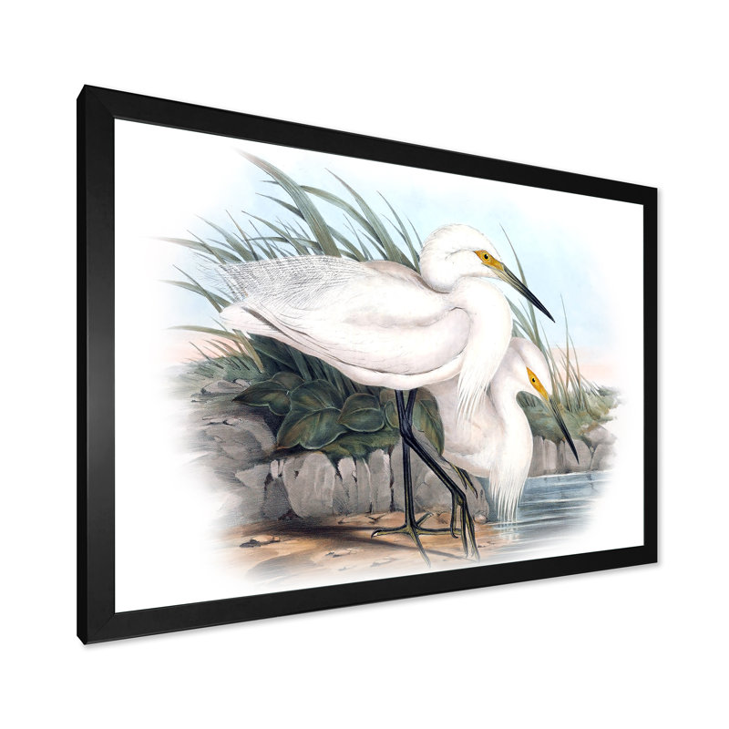 Vie d'oiseau rétro I - peinture sur toile, H 24 po x l 32 po x P 1 po, Cadre photo noir