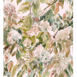 Hydrangea Garden