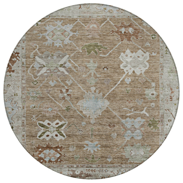 Machine Washable Indoor/Outdoor Xhevrie Brown Rug
