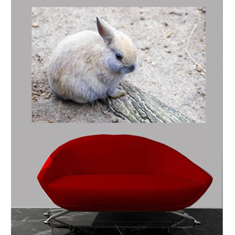 Non-Wall Damaging Wall Decal, 16" H x 24" W x 0.1" D