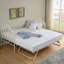 Fredric Metal Daybed with Trundle-305784189