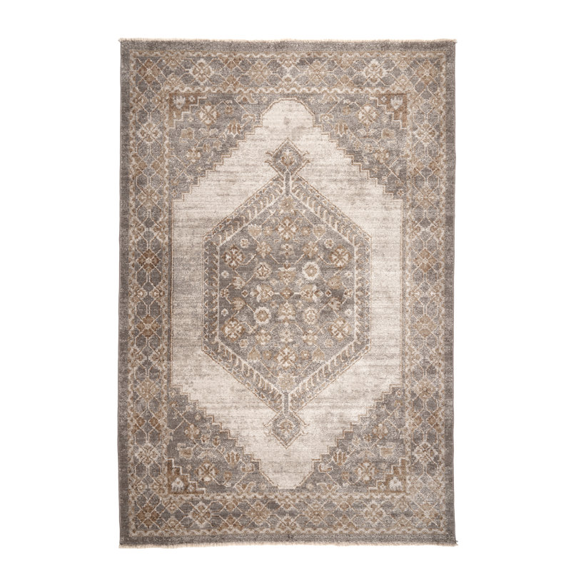 Terrena Power Loomed Polyester Indoor Rug, 2'7x4'2