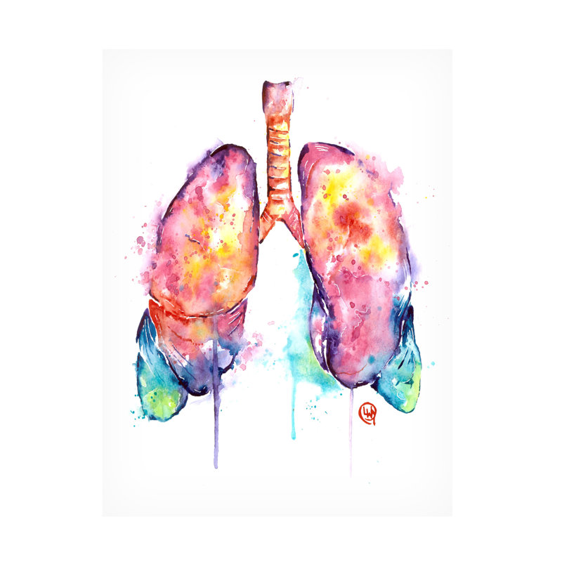 "Lisa Whitehouse Lungs", art sur toile, H 19 po x l 14 po