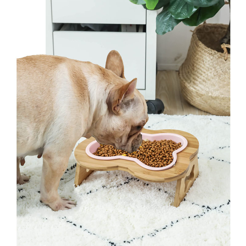 Elevated Feeder
