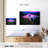 Alvord Pink Lake Tahoe-107490043