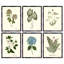 Pressed Botanical Set by Sandy Whitaker-1772074531