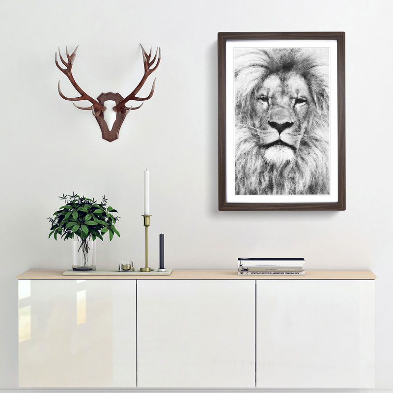 Lion Portrait - Picture Frame Drawing Print, Walnut Framed, 63cm H x 45cm W x 2cm D