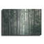 Art mural en métal «Obscured by Alders» par Eunika Rogers-101621357