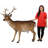 Forest Tailed Buck Male Deer Statue