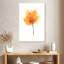 Fleurs expressives V-108386226