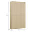 Saabir 36 Pair Shoe Storage Cabinet