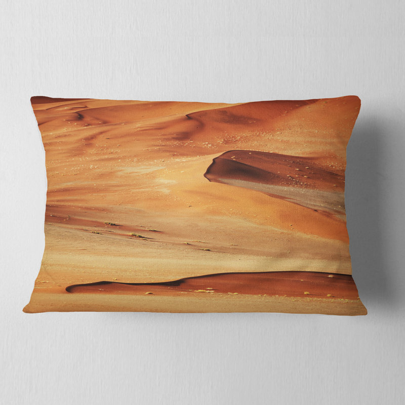 Magnifique désert de sable brun - coussin à imprimé paysage