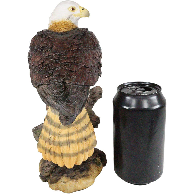 Oiseau de la faune aérienne de montagne